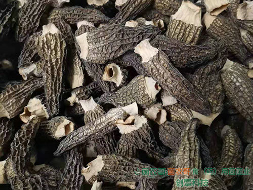 羊肚菌干品 羊肚菌干品